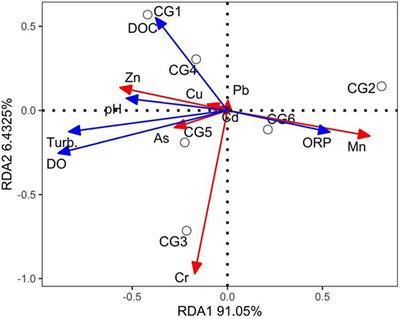 In situ, high-resolution evidence of metals at the sediment-water interface under ice cover in a seasonal freezing lake